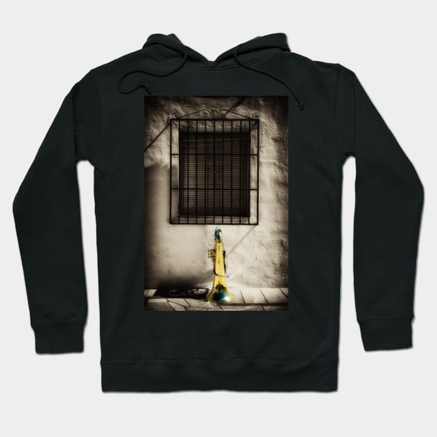 Tuba in front of Spanish window Hoodie by MiRaFoto